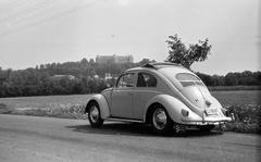 1965, Bordács Ferenc, Fortepan #309545