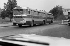 1974, Bordács Ferenc, Fortepan #309559