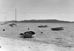 1961, Bordács Ferenc, Fortepan #309610