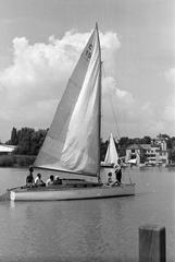 1962, Bordács Ferenc, Fortepan #309653