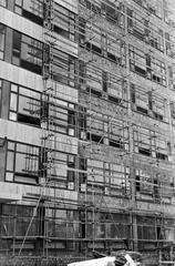 1961, Bordács Ferenc, Fortepan #309697