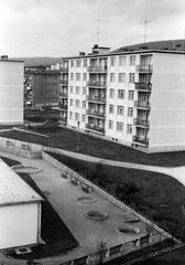 1962, Bordács Ferenc, Fortepan #309712