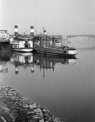 1963, Bordács Ferenc, Fortepan #309726