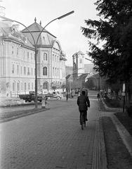 1965, Bordács Ferenc, Fortepan #309775