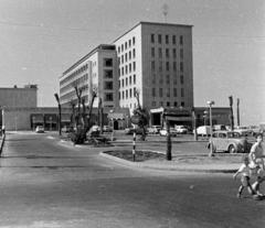 1966, Fortepan/Album 121, Fortepan #309851