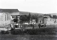 1909, Gödény János, népviselet, ökörfogat, lakóház, építkezés, Fortepan #309912