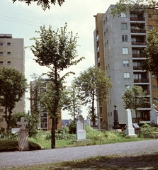 Magyarország, Kecskemét, a leninvárosi (később árpádvárosi) lakótelep toronyházai a Szentháromság temetőből nézve., 1966, Építésügyi Dokumentációs és Információs Központ, VÁTI, színes, temető, magasház, lakótelep, Fortepan #30992