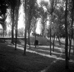 1936, Fortepan/Album 122, Fortepan #309925