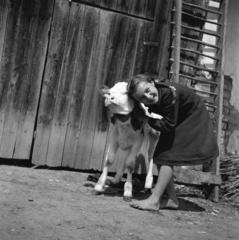 1939, Fortepan/Album 122, Fortepan #309928