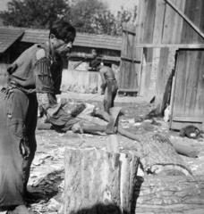 1936, Fortepan/Album 122, Fortepan #309934