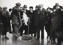 1935, Budapest Főváros Levéltára / Szekfü András fényképei, Fortepan #310019