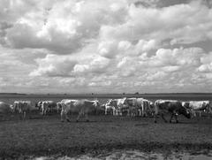 1933, Kirilly Gergely, Fortepan #310117