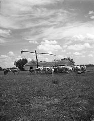 1933, Kirilly Gergely, Fortepan #310120