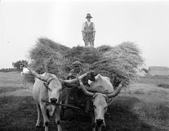 1933, Kirilly Gergely, Fortepan #310122