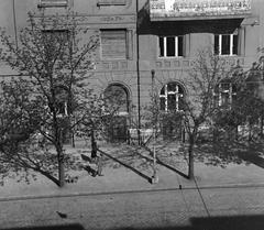 1940, Kirilly Gergely, Fortepan #310155