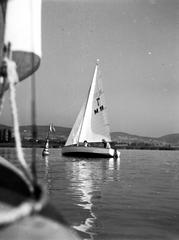 1937, Fortepan #310198