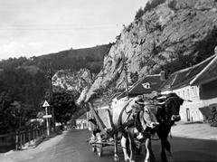 1939, Fortepan #310254