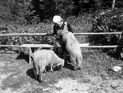 1938, Kirilly Gergely, Fortepan #310261