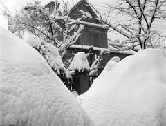 1937, Fortepan #310270