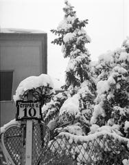 1937, Fortepan #310272