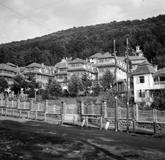 1941, Kirilly Gergely, Fortepan #310282