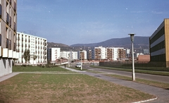 Magyarország, Uránváros, Pécs, Szőnyi Ottó utca a Veress Endre utca felé nézve, jobbra az egykori Komarov (később PTE Babits Mihály Gyakorló) Gimnázium., 1968, Építésügyi Dokumentációs és Információs Központ, VÁTI, színes, Fortepan #31035