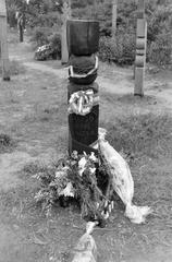 1989, Krizsán Árpád, Fortepan #310428