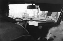 1989, Krizsán Árpád, Fortepan #310481