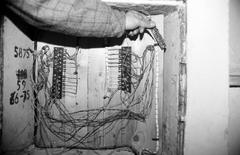 1989, Krizsán Árpád, Fortepan #310530