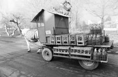 1989, Krizsán Árpád, Fortepan #310543