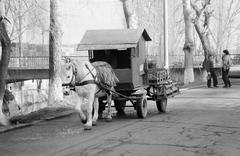 1989, Krizsán Árpád, Fortepan #310545