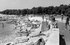 1986, Ladinek Viktor, Fortepan #310643