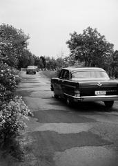 1963, Lindner család, Fortepan #310736