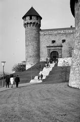 1965, Lindner család, Fortepan #310743