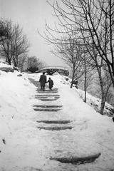 1965, Lindner család, Fortepan #310744