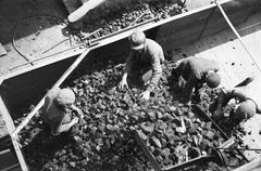 1941, Lindner család, Fortepan #310756