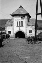 1941, Lindner család, Fortepan #310757