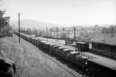 1942, Lindner család, Fortepan #310774