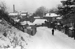 1943, Lindner család, Fortepan #310814