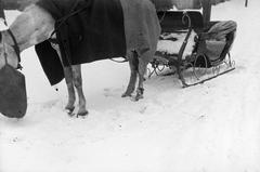 1943, Lindner család, Fortepan #310819