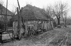 1941, Lindner család, Fortepan #310856