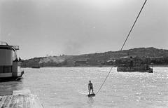 1941, Lindner család, Fortepan #310865