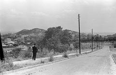 1941, Lindner család, Fortepan #310869