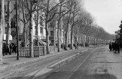 1960, Lindner család, Fortepan #310883