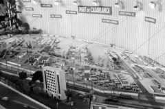 1960, Lindner család, Fortepan #310917