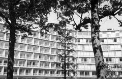 1960, Lindner család, Fortepan #310921