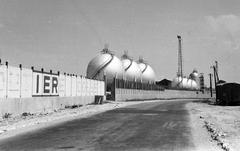 1960, Lindner család, Fortepan #310964