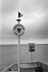 1960, Lindner család, Fortepan #310969