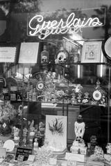 1960, Lindner család, Fortepan #310971