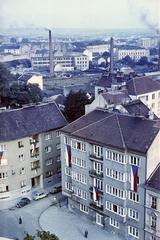 1965, Lindner család, Fortepan #311068